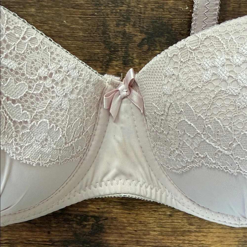 Secret Possessions Lace Bra - Light Pink